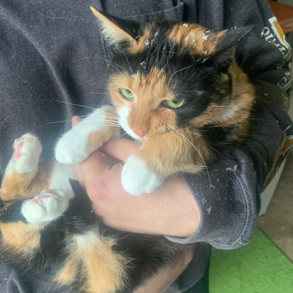 Meet your Posher, Ari